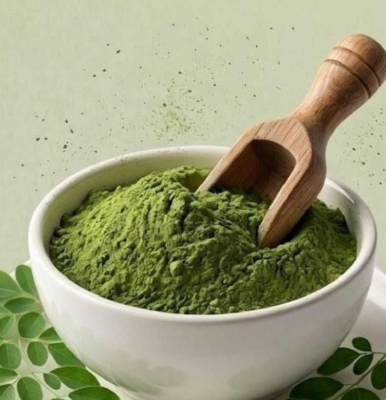 Premium moringa leaf powder in a bowl